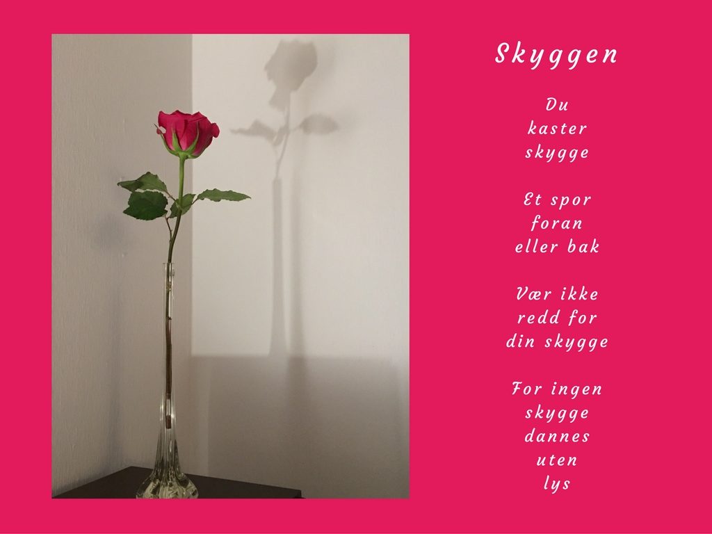 Rose med skygge